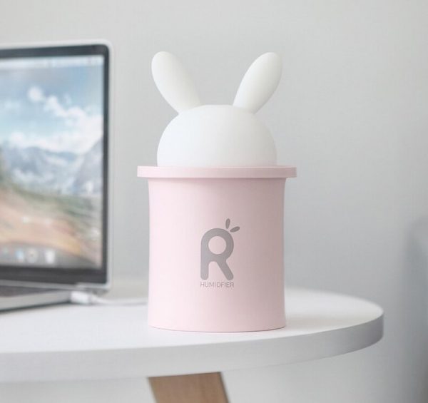Rabbit humidifier for home