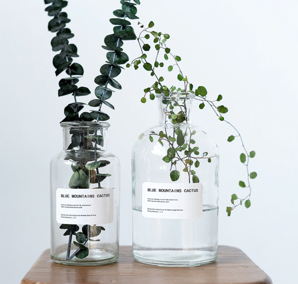 transparent glass jar bottle vase