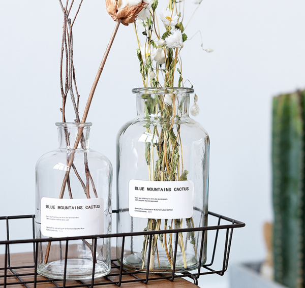 modern jar glass transparent vases