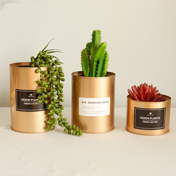 Golden flower pot metal succulents cactus