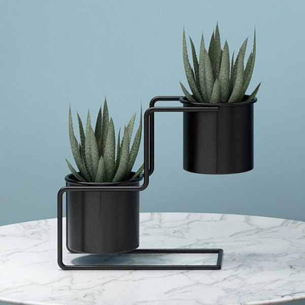 Double flowerpot for succulents