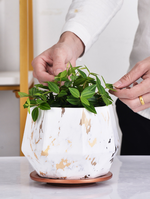 Exquisite luxury flower pot modern