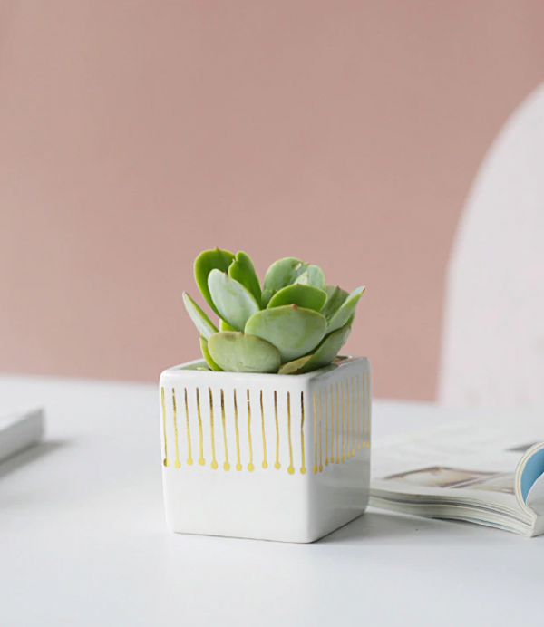 Small modern simple white flower pot