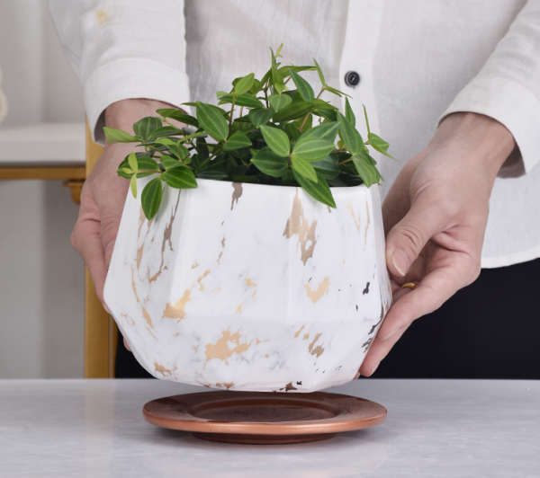 White and gold luxury marble flower pot succulent