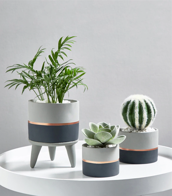 minimalistic modern interior flower pot