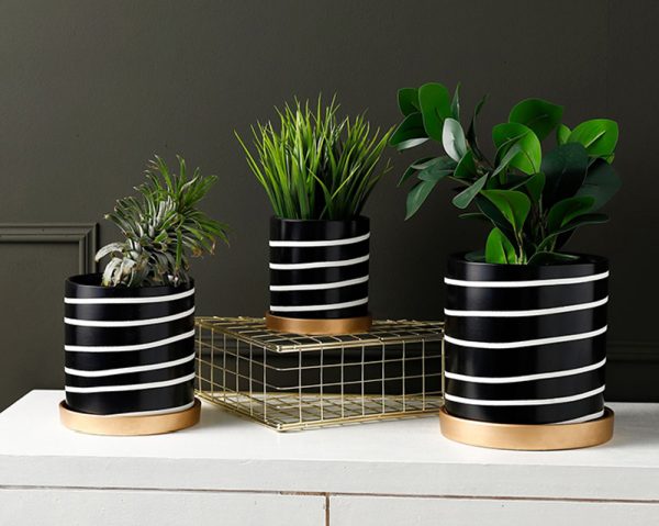 Black and white flower pots with dish
