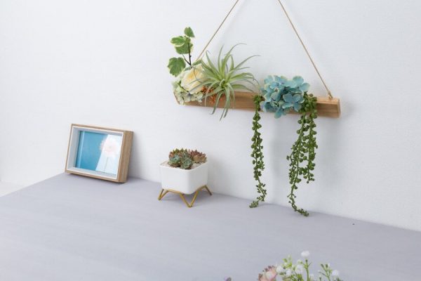 Modern minimalistic decor flower pot for succulents