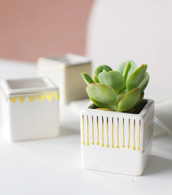 Gold and white small cube flower pots