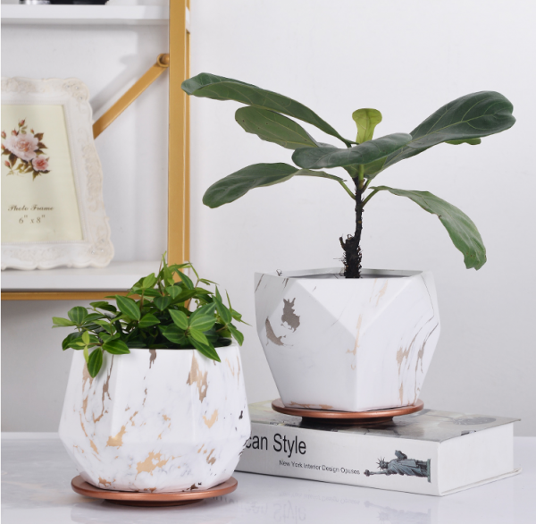 White and gold marble flower pot