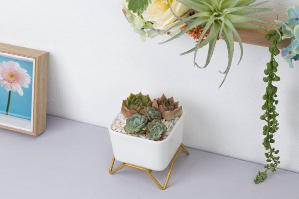 Modern cube flower pot for succulents